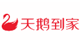 天鵝到家